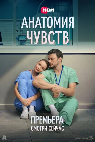 Анатомия чувств смотреть онлайн бесплтано в хорошем качестве Лорд Фильм